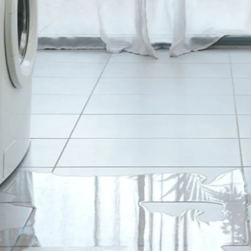 Appliance Leak Cleanup in Edwards County, KS