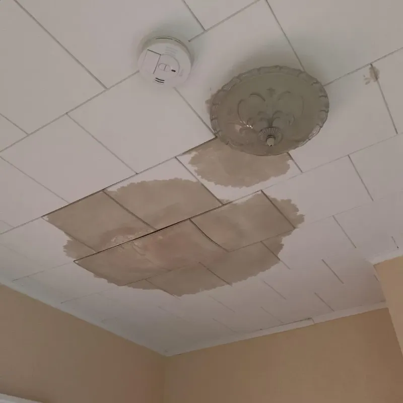 Ceiling Water Damage Repair in Edwards County, KS