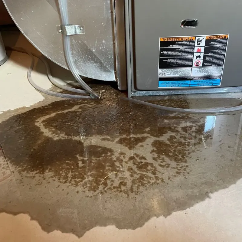 Pipe Burst and Leak Restoration in Edwards County, KS