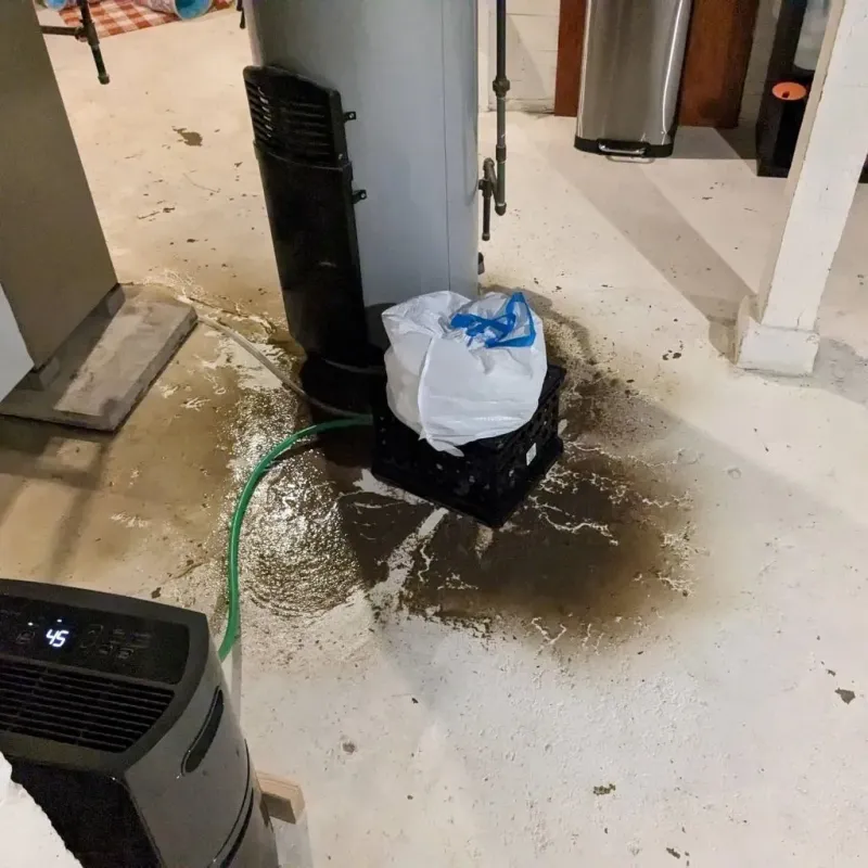 Sewage Backup Cleanup Service in Edwards County, KS